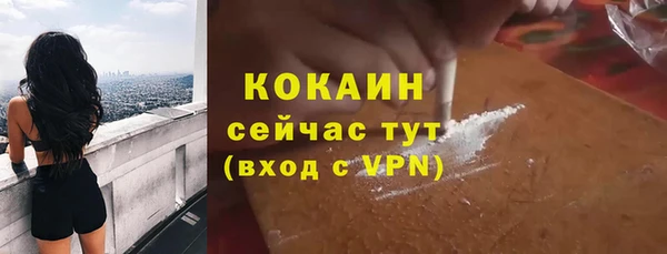 тгк Абаза