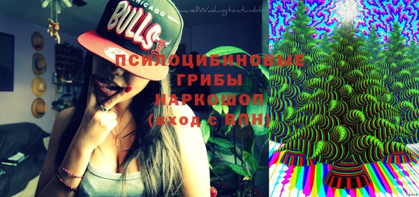 винт Алзамай