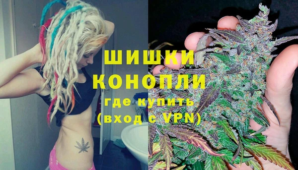 винт Алзамай